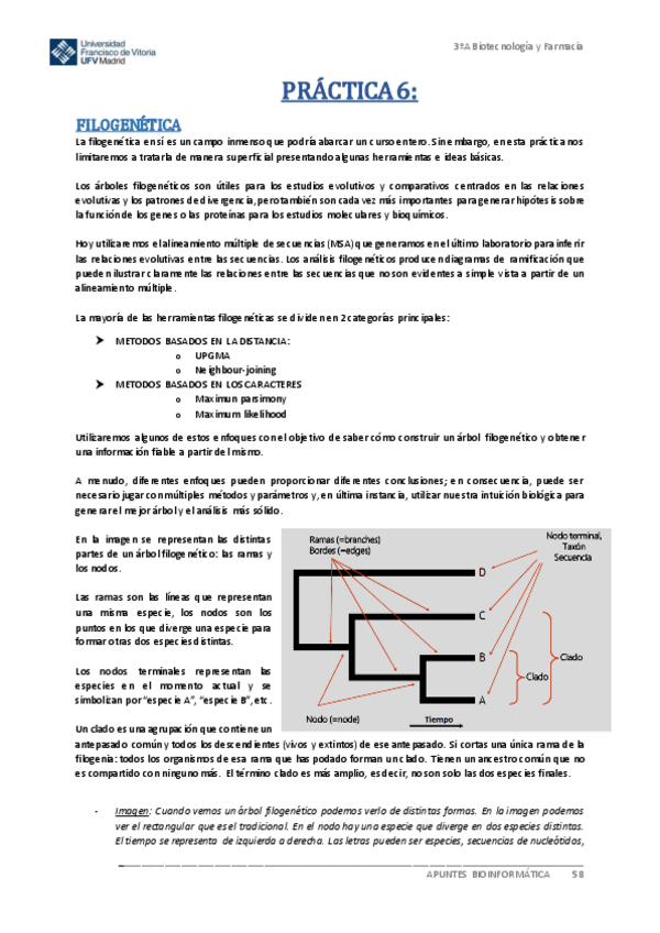 Miniatura del documento Practica-6-Bioinformatica.pdf