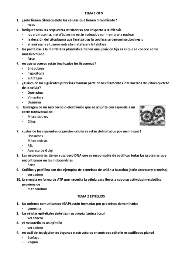 Miniatura del documento SOCRATIVE-BCT-2021-2022.pdf