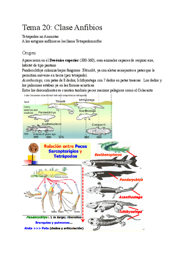 Miniatura del documento Zoologia-Tema-20.pdf