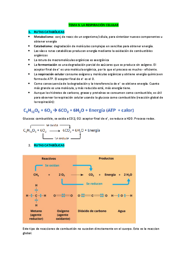 Miniatura del documento Biologia-apuntes-Tema-9.pdf