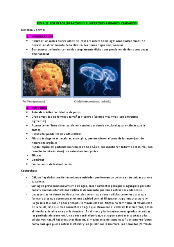 Miniatura del documento Biologia-apuntes-Tema-22.pdf