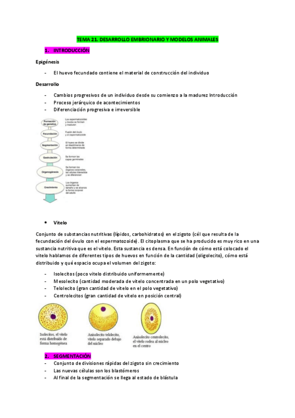 Miniatura del documento Biologia-apuntes-Tema-21.pdf