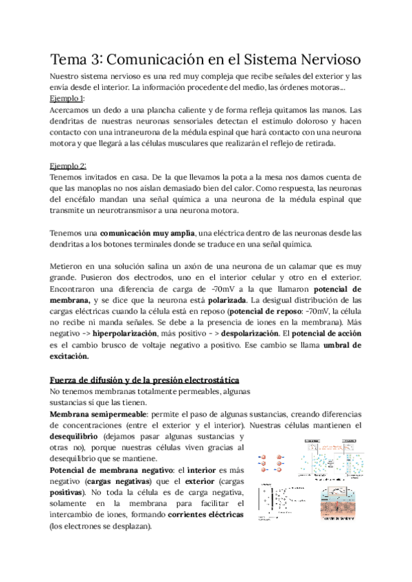 Miniatura del documento APUNTES-NEUROCIENCIAS-TEMA-3-21-22.pdf