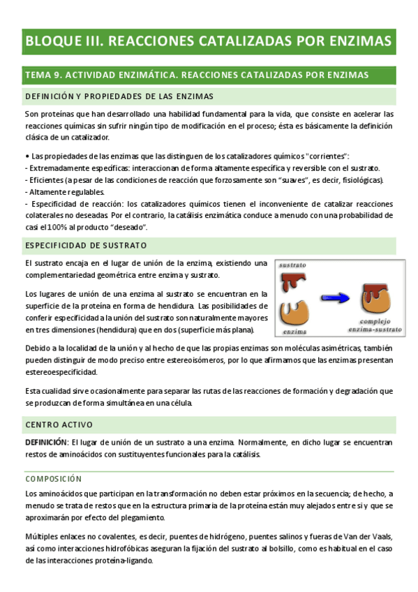 Miniatura del documento Fundamentos-de-bio-BLOQUE-III.pdf