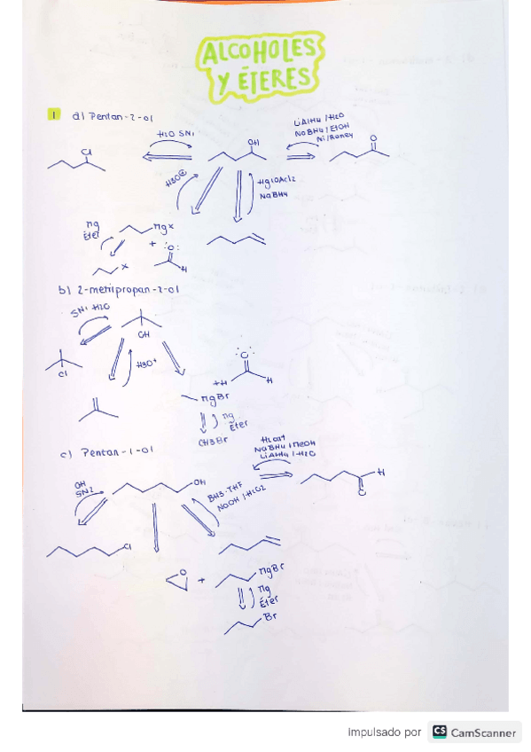 Miniatura del documento DOC-20230121-WA0023..pdf