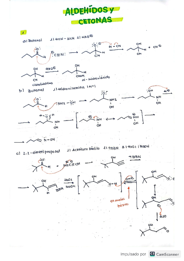 Miniatura del documento DOC-20230122-WA0013..pdf