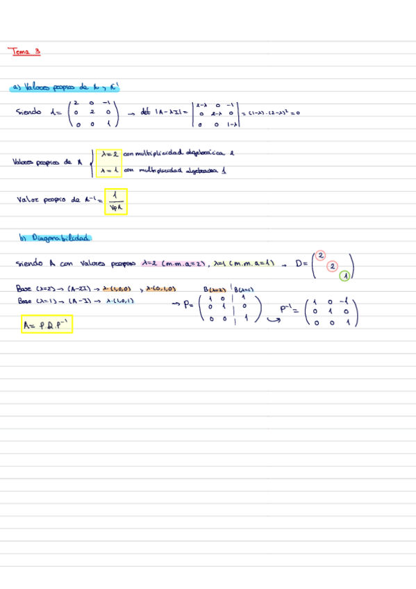 Miniatura del documento Algebratema3.pdf