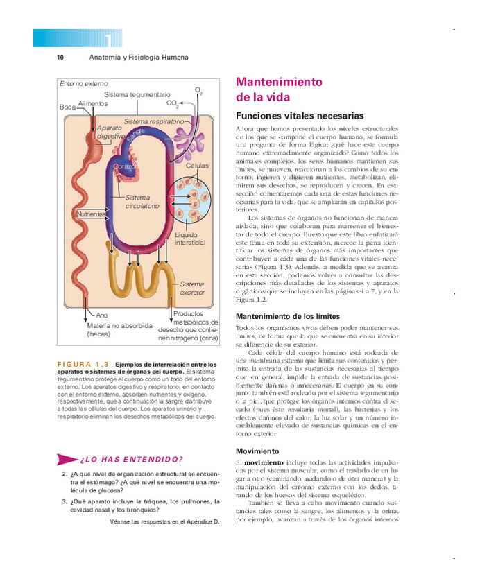 Miniatura del documento Mantenimiento-de-la-vida.pdf