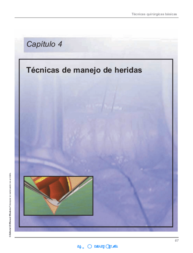 Miniatura del documento Tecnicas-de-manejo-de-heridas.pdf