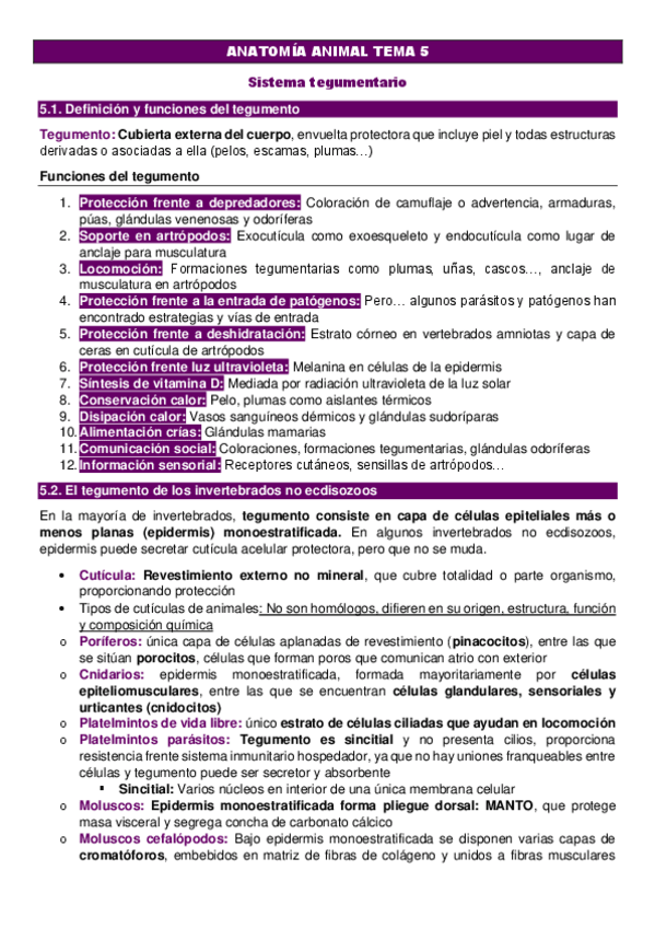 Miniatura del documento ANATOMIA-ANIMAL-TEMA-5.pdf