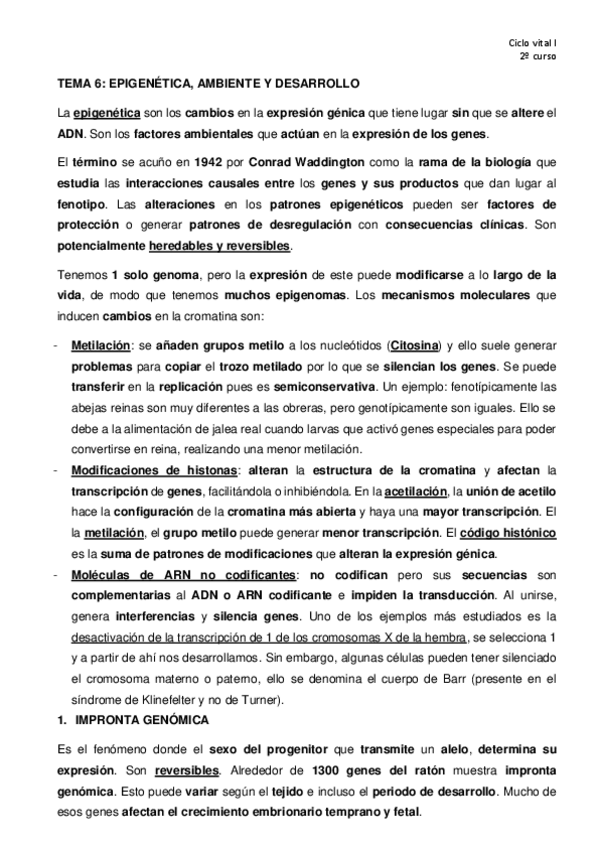 Miniatura del documento TEMA-6.pdf