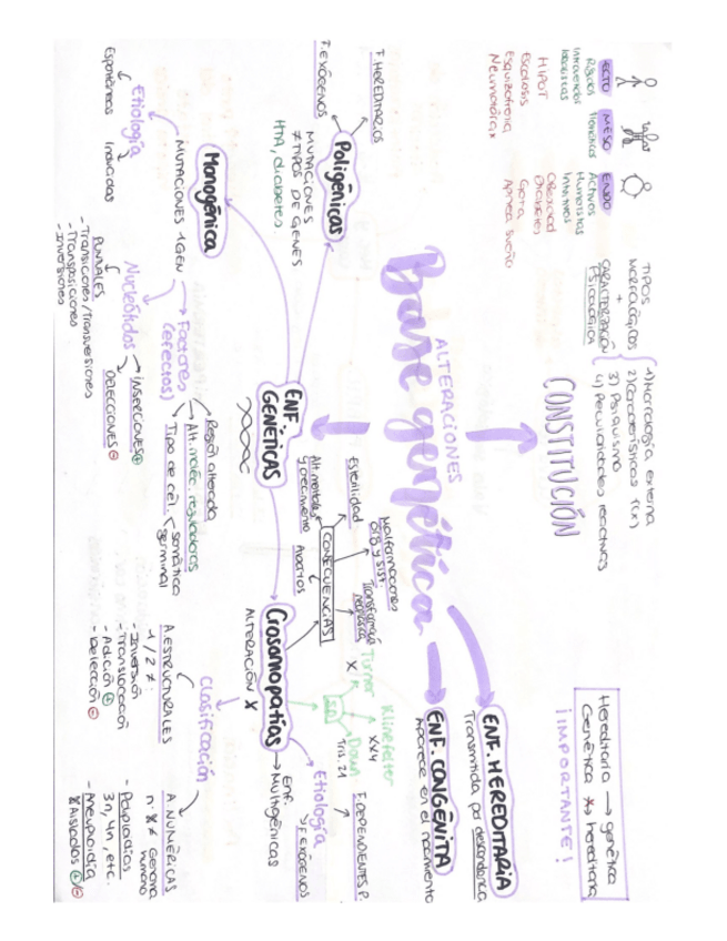 Miniatura del documento Tema-2-Alteraciones-base-genetica.pdf
