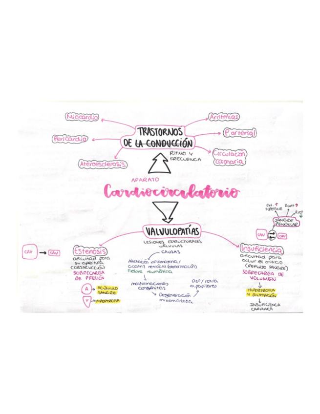 Miniatura del documento TRASTORNOS.pdf