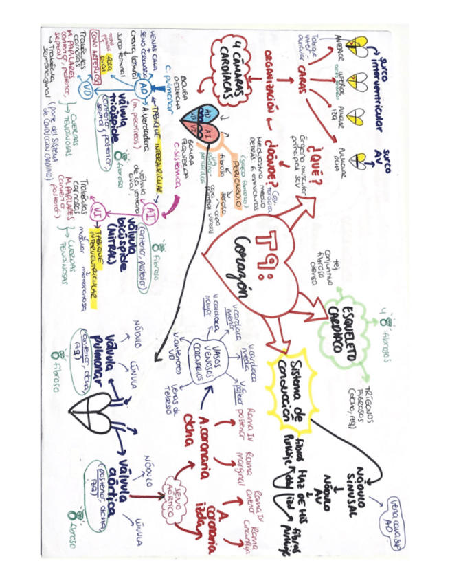 Miniatura del documento auncular-CARAS.pdf
