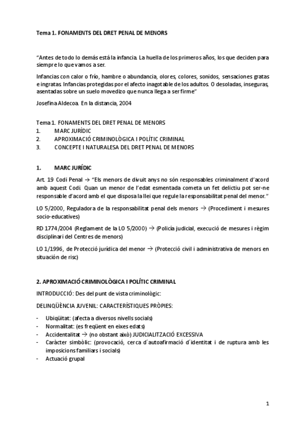 Miniatura del documento dret-penal-de-menors.-profe-maset.pdf