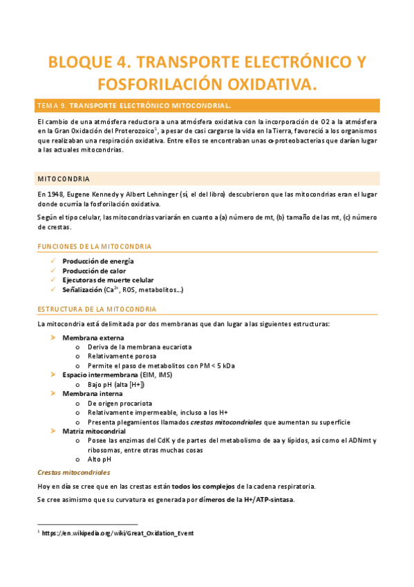 Miniatura del documento B4-Transporte-Electronico-y-Fosforilacion-Oxidativa.pdf