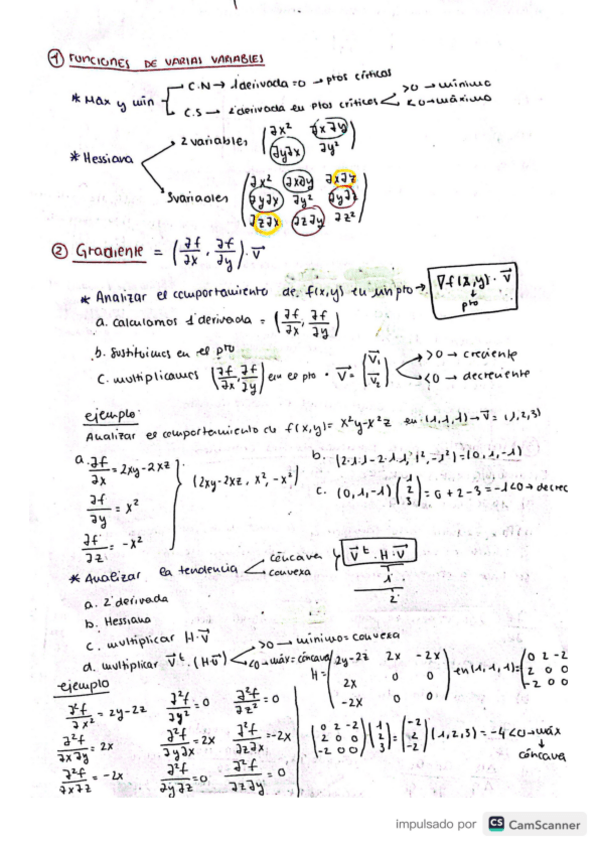 Miniatura del documento resumen.pdf
