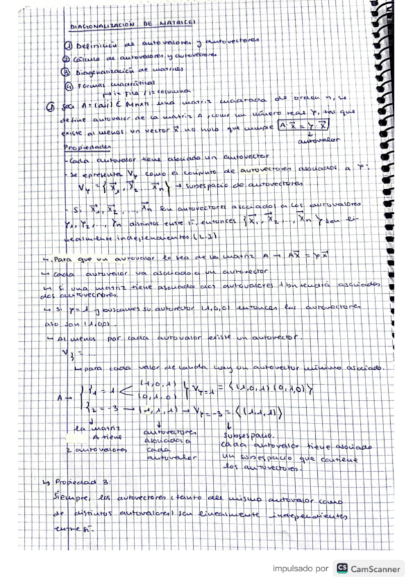 Miniatura del documento diagonalizacion-de-matrices.pdf