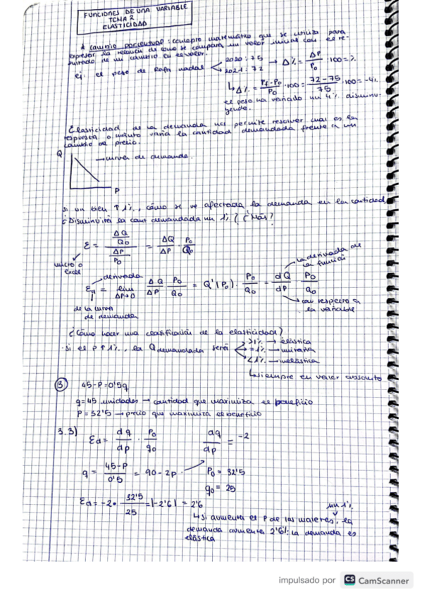 Miniatura del documento elasticidad-una-variable.pdf