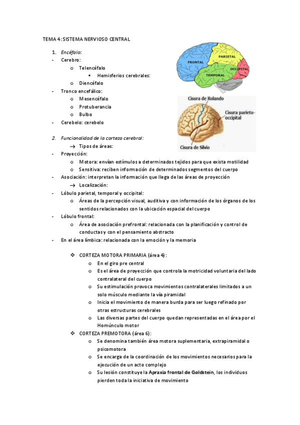 Miniatura del documento Tema-4-diapositivas.pdf
