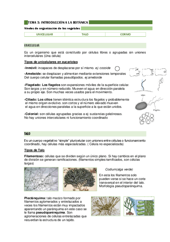 Miniatura del documento TEMA-3-BIOLOGIA-3.pdf