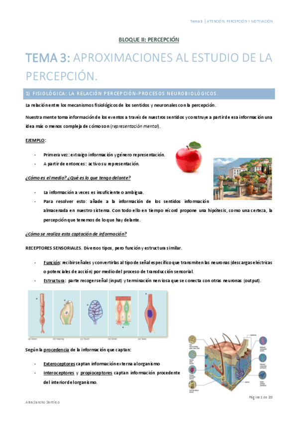 Miniatura del documento Atencion-Percepcion-y-Motivacion-Tema-3-Alba-Sancho.pdf