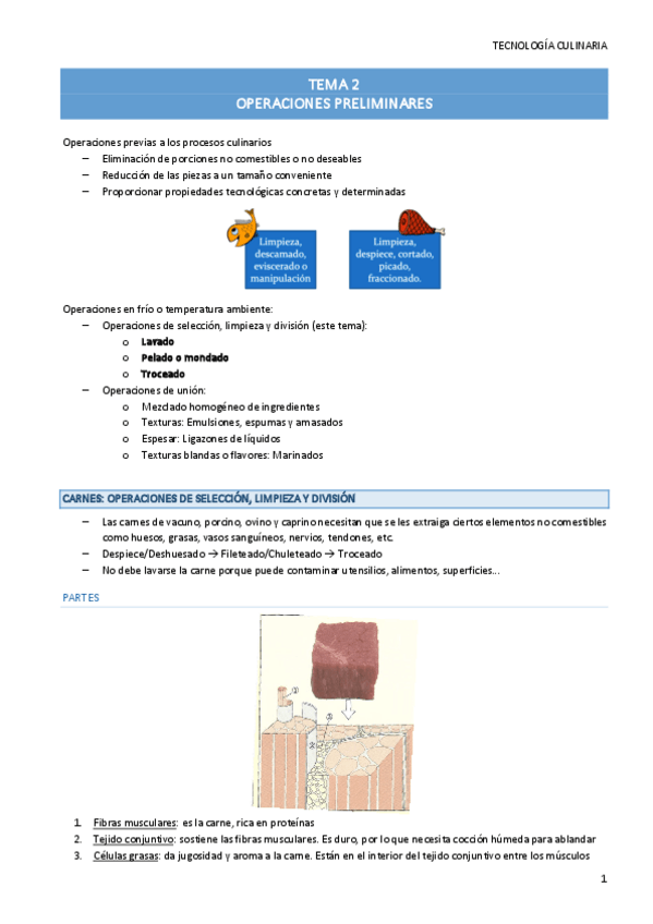 Miniatura del documento TEMA-2.pdf