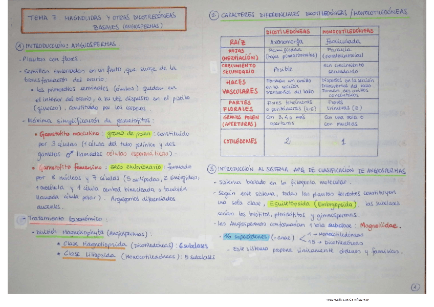 Miniatura del documento APUNTES-2o-parcial-botanica.pdf