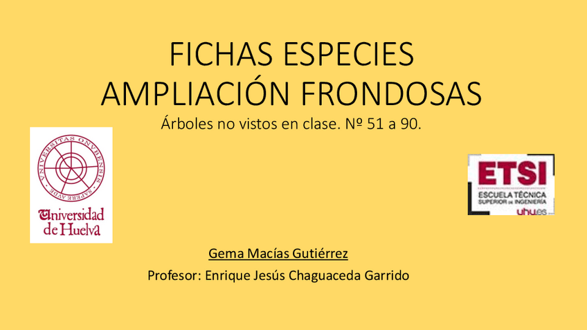 Miniatura del documento Gema-Macias-Gutierrez-Fichas-especies-ampliacion-Frondosas.pdf