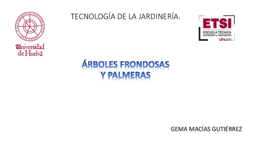 Miniatura del documento VISUM-gema-m.pdf
