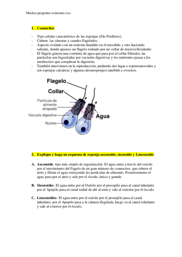 Miniatura del documento examenes-zoo.pdf