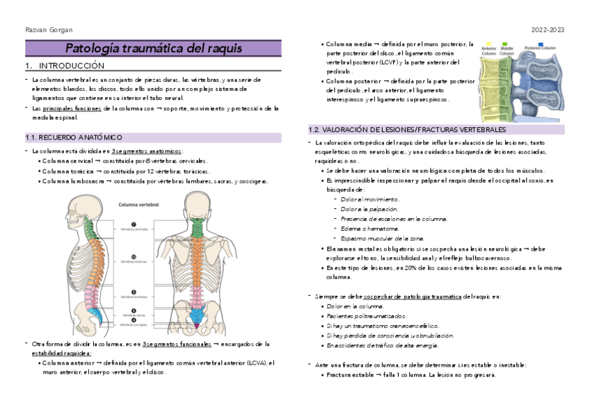 Miniatura del documento Sem2-Patologia-traumatica-del-raquis.pdf