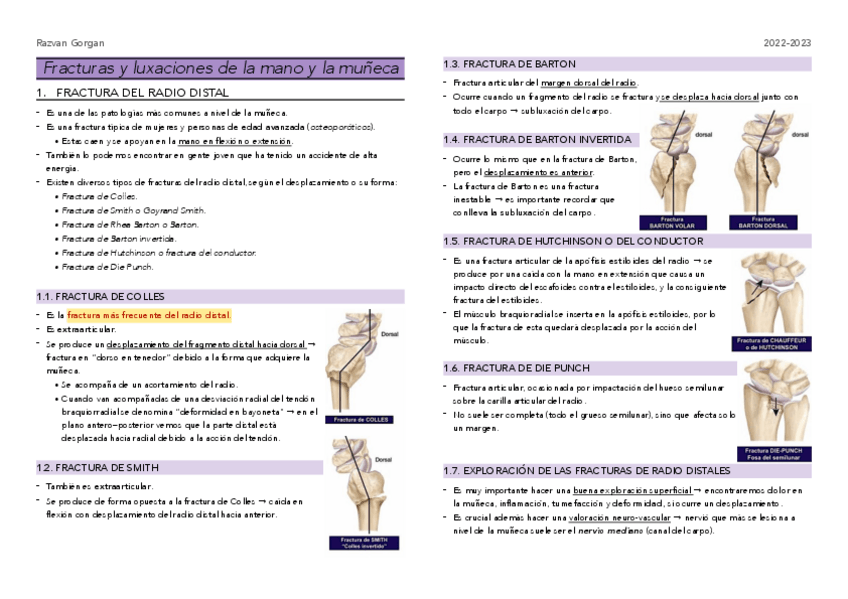 Miniatura del documento T11-Fracturas-y-luxaciones-mano.pdf