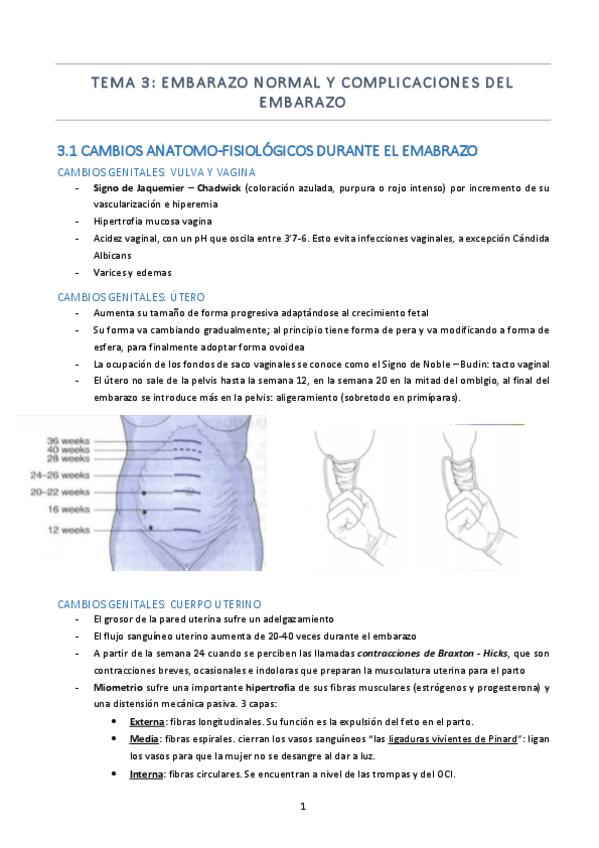 Miniatura del documento 3.-EMBARAZO-NORMAL-Y-COMPLICACIONES-DEL-EMBARAZO.pdf
