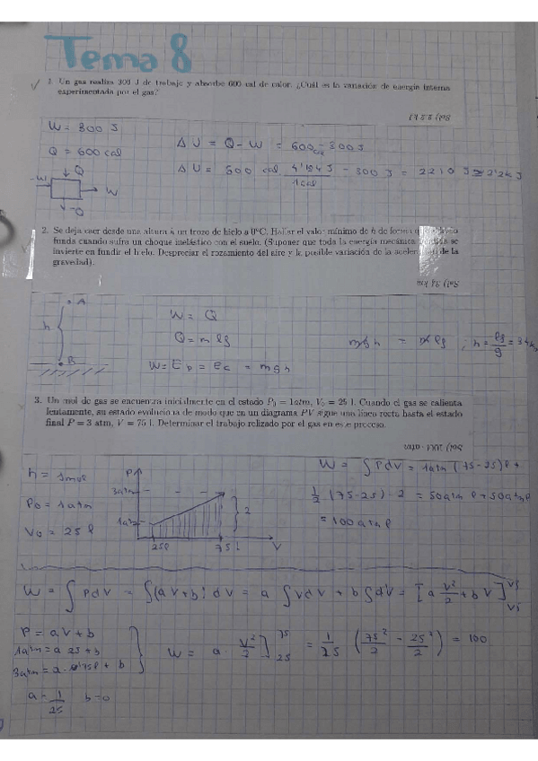 Miniatura del documento Tema-8.pdf