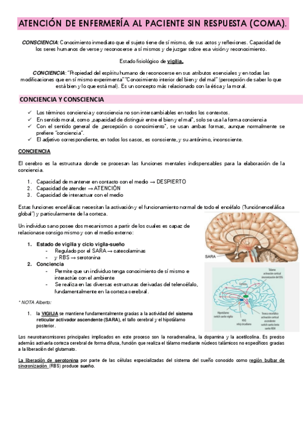 Miniatura del documento ATENCION-DE-ENFERMERIA-AL-PACIENTE-EN-COMA.pdf