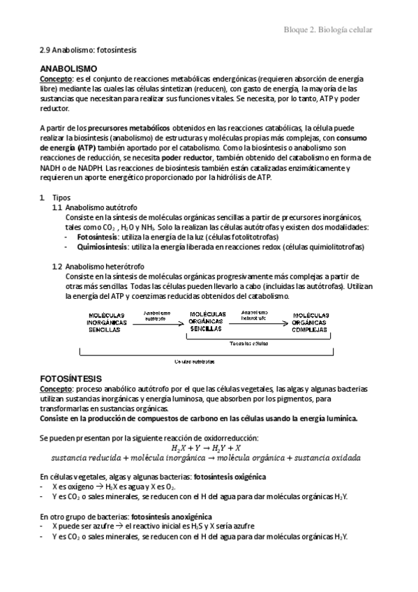 Miniatura del documento 2.9-Anabolismo-fotosintesis.pdf