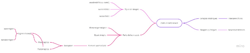 Miniatura del documento Mapa-conceptual-Tema-7-Comunicacio-neural.pdf