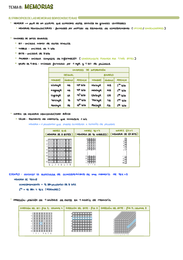 Miniatura del documento T8-Memorias.pdf