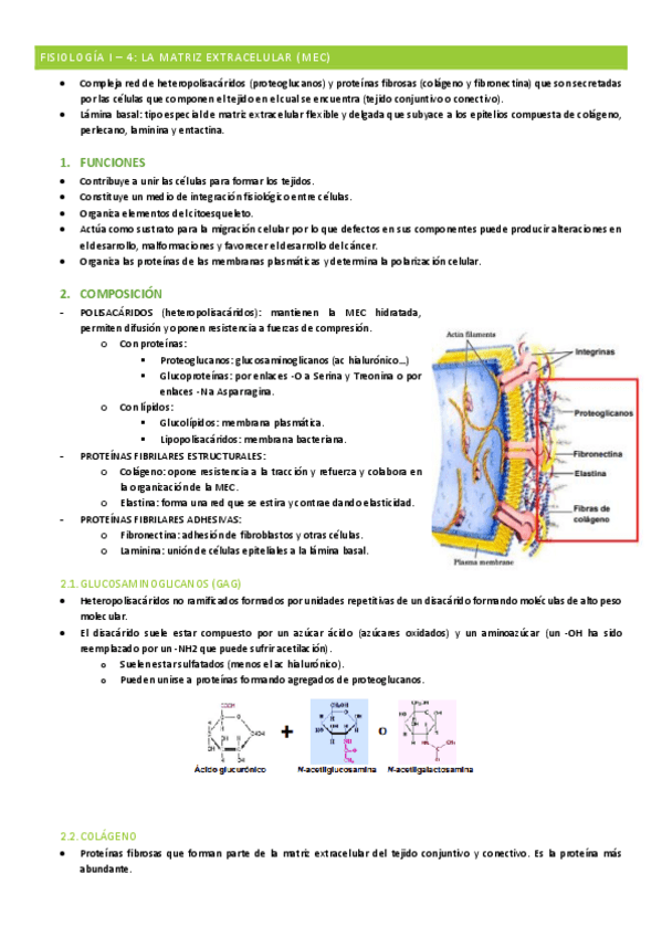 Miniatura del documento Fisiologia-I-tema-4.pdf