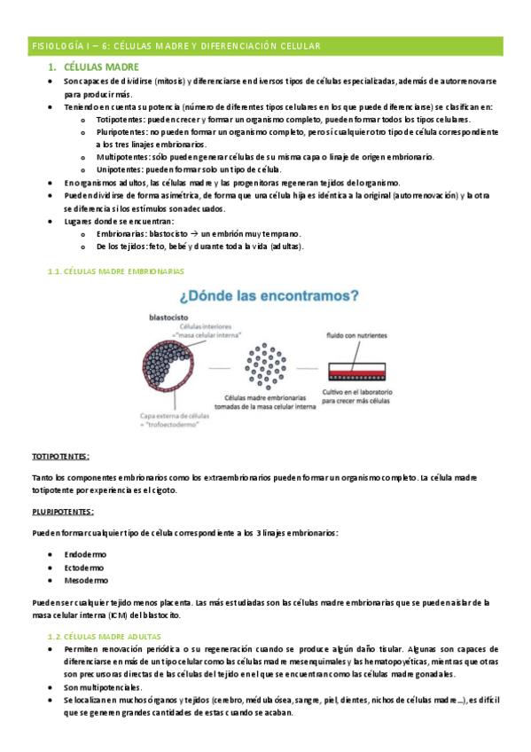 Miniatura del documento Fisiologia-I-tema-6.pdf