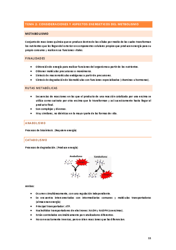 Miniatura del documento TEMA-2.pdf