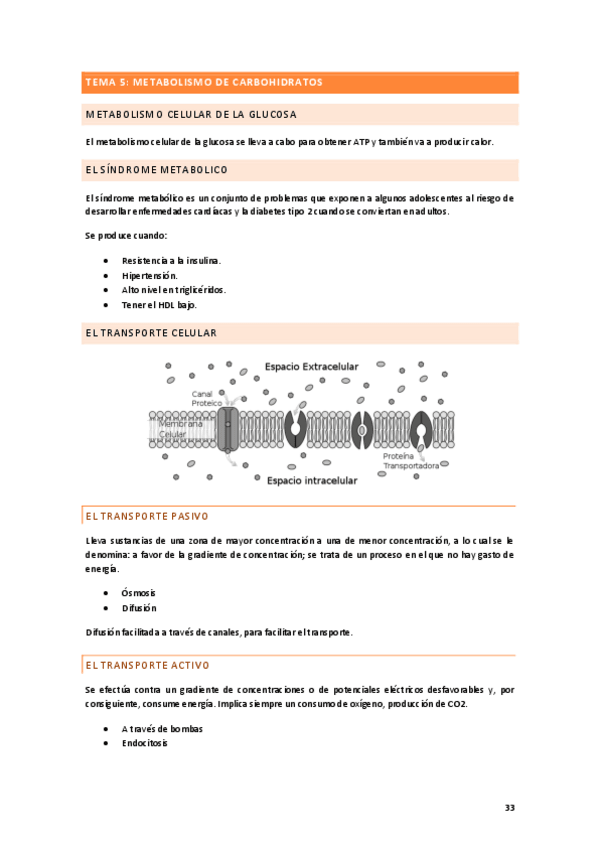 Miniatura del documento TEMA-5.pdf