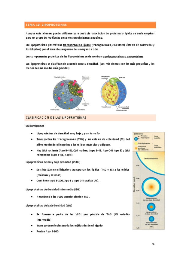 Miniatura del documento TEMA-10.pdf