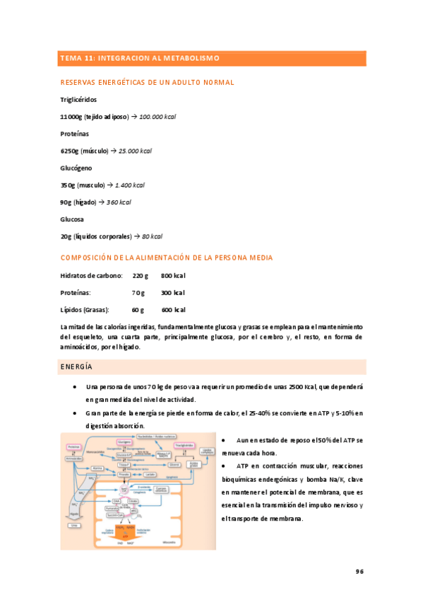 Miniatura del documento TEMA-11.pdf