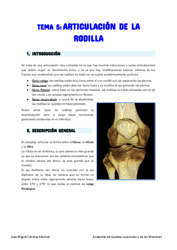 Miniatura del documento Anatomia-Tema-5.pdf