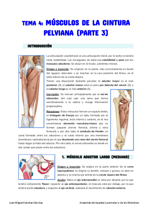 Miniatura del documento Anatomia-Tema-4.pdf