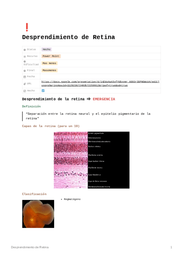 Miniatura del documento DesprendimientodeRetina.pdf