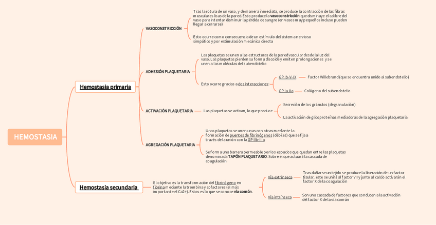 Miniatura del documento HEMOSTASIA-esquema.pdf