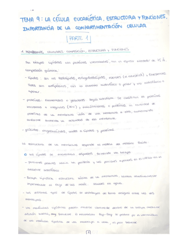 Miniatura del documento Tema-9-parte-1.pdf